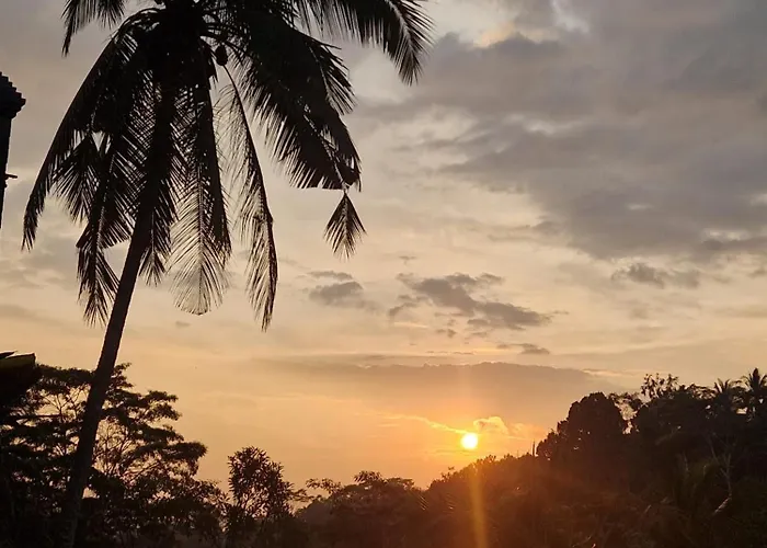 Muraya In Ubud Tegallalang (Bali)