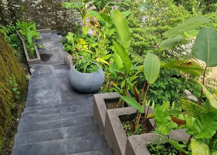Muraya In Ubud Tegallalang (Bali)